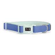 Hydrangea blue dog collar