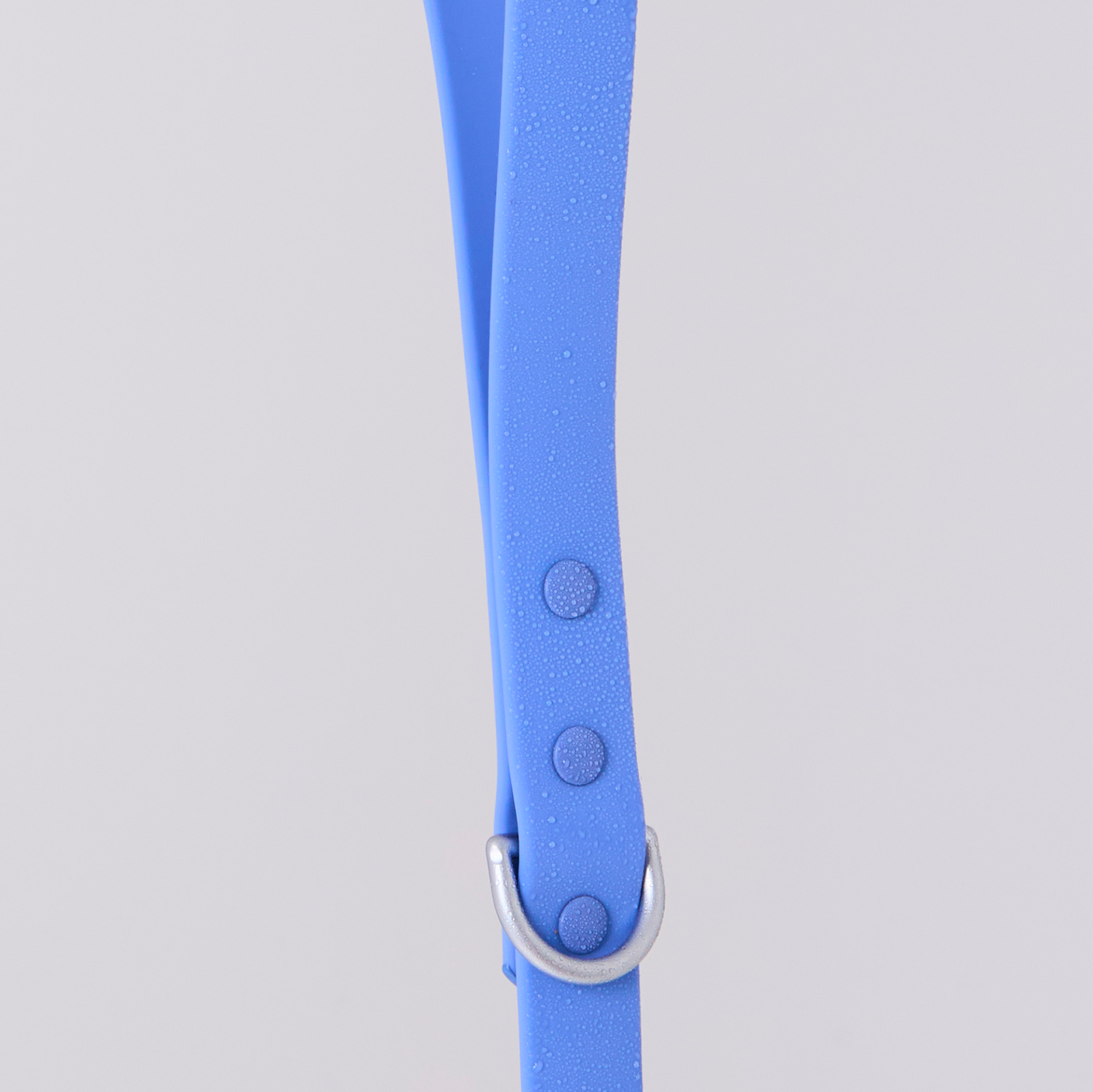 Hydrangea blue waterproof dog combo collar and leash