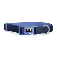 Navy bleu dog collar