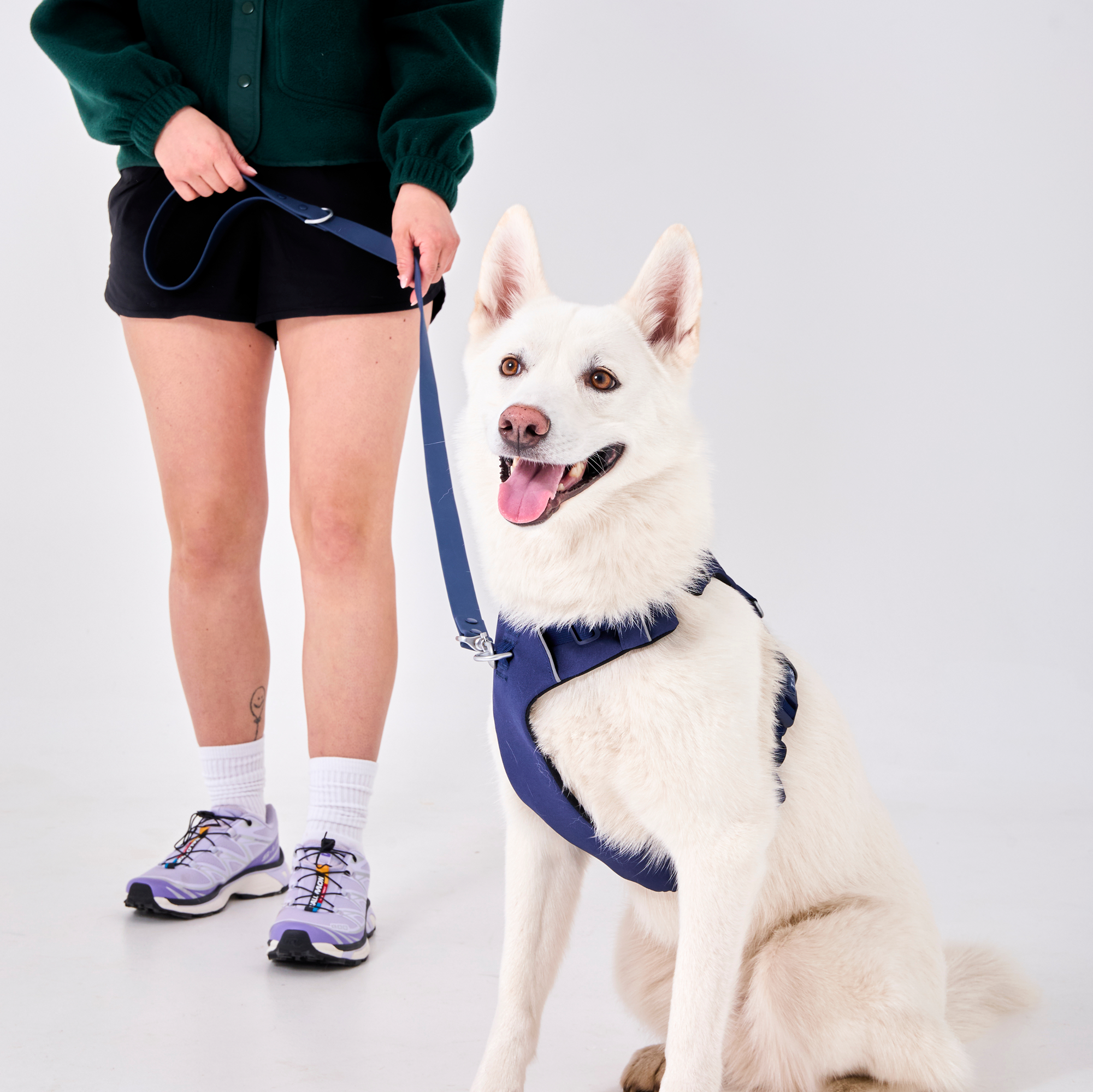 Navy waterproof dog combo collar and leash