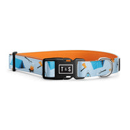 Collier pour chien Camping