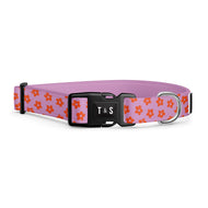 Collier pour chien Charlotte