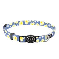 Collier pour chat Coco