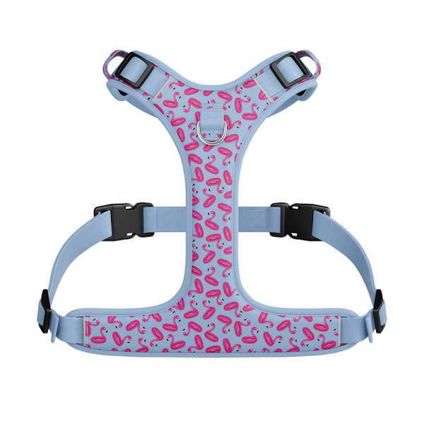Harnais hybride pour chien Flamants flamboyants