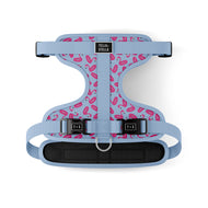 Adjustable dog harness - Flamboyant Flamingo