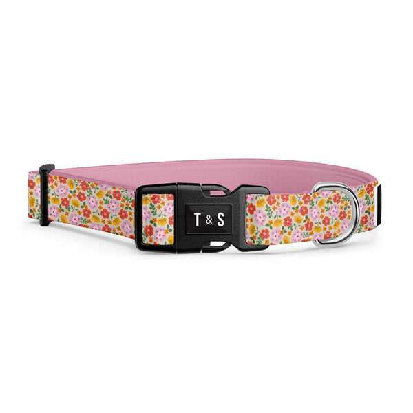 Collier pour chien Flora