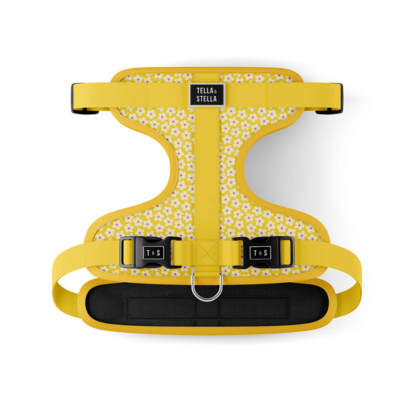 Light & flexible dog harness - Florence