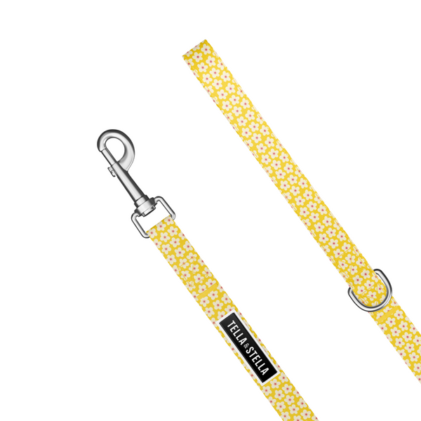 Florence dog leash