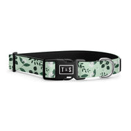 Collier pour chien Hoya