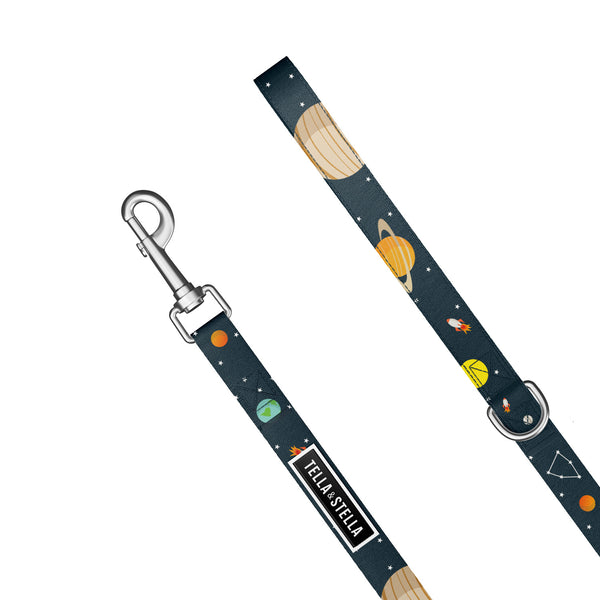 Laisse pour chien Houston