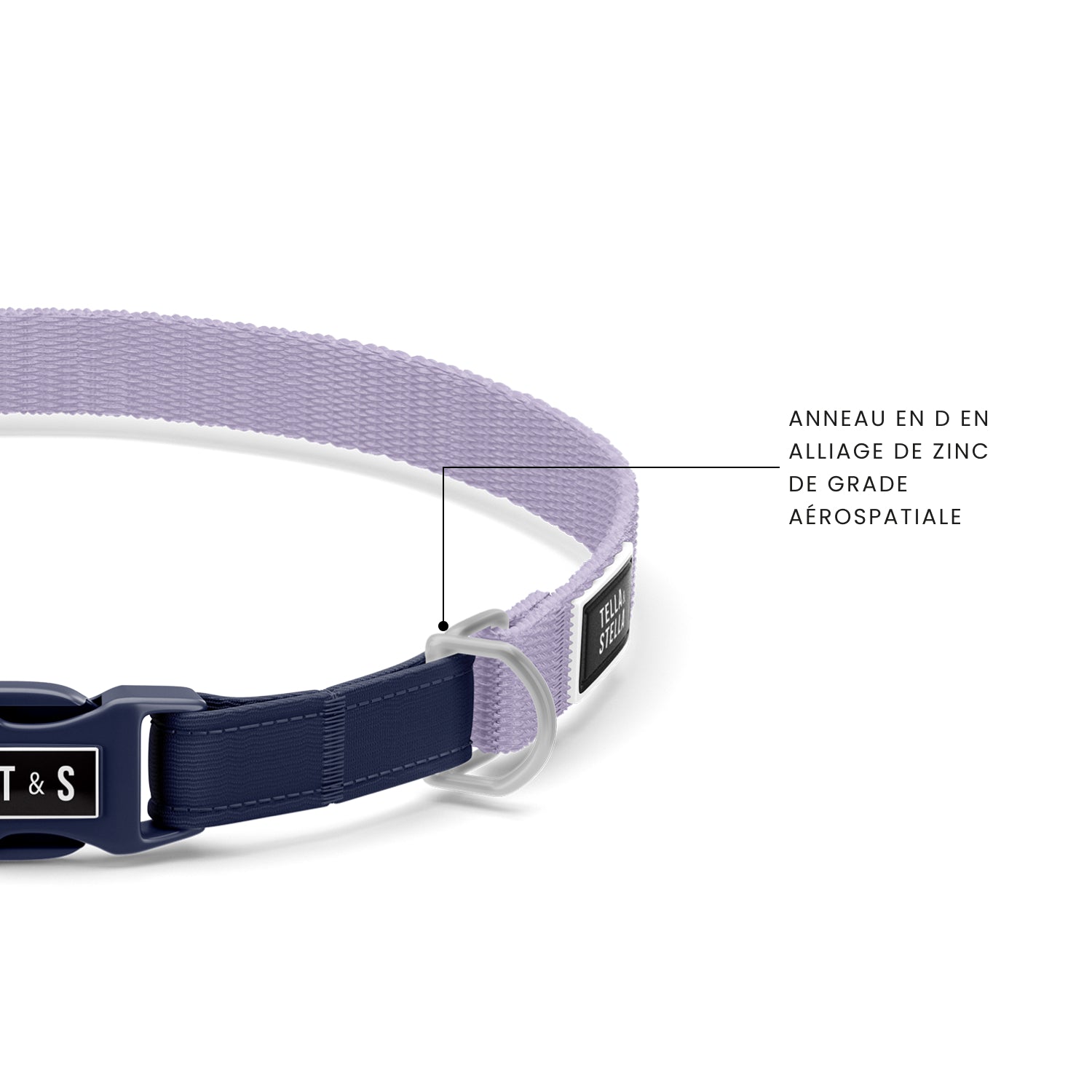 Lilac cat collar