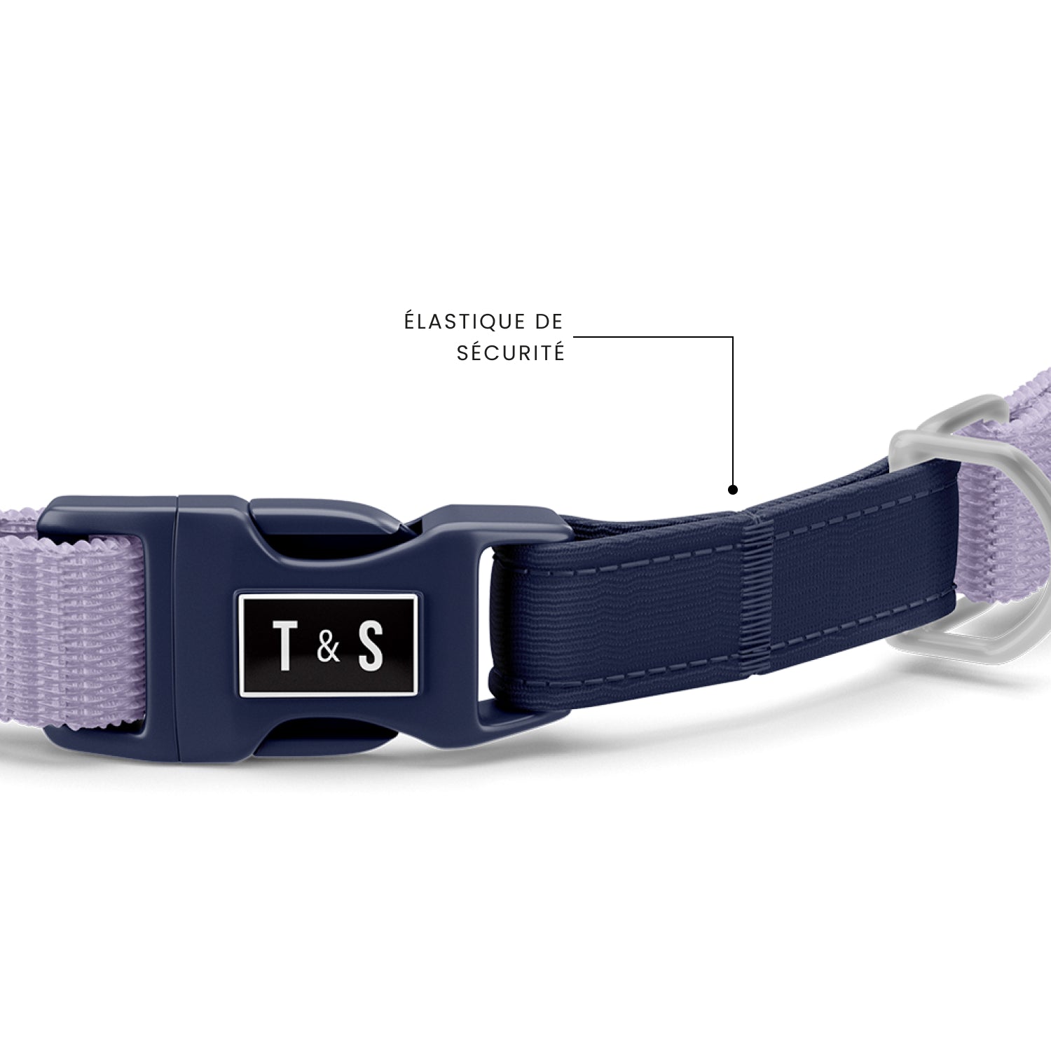 Lilac cat collar