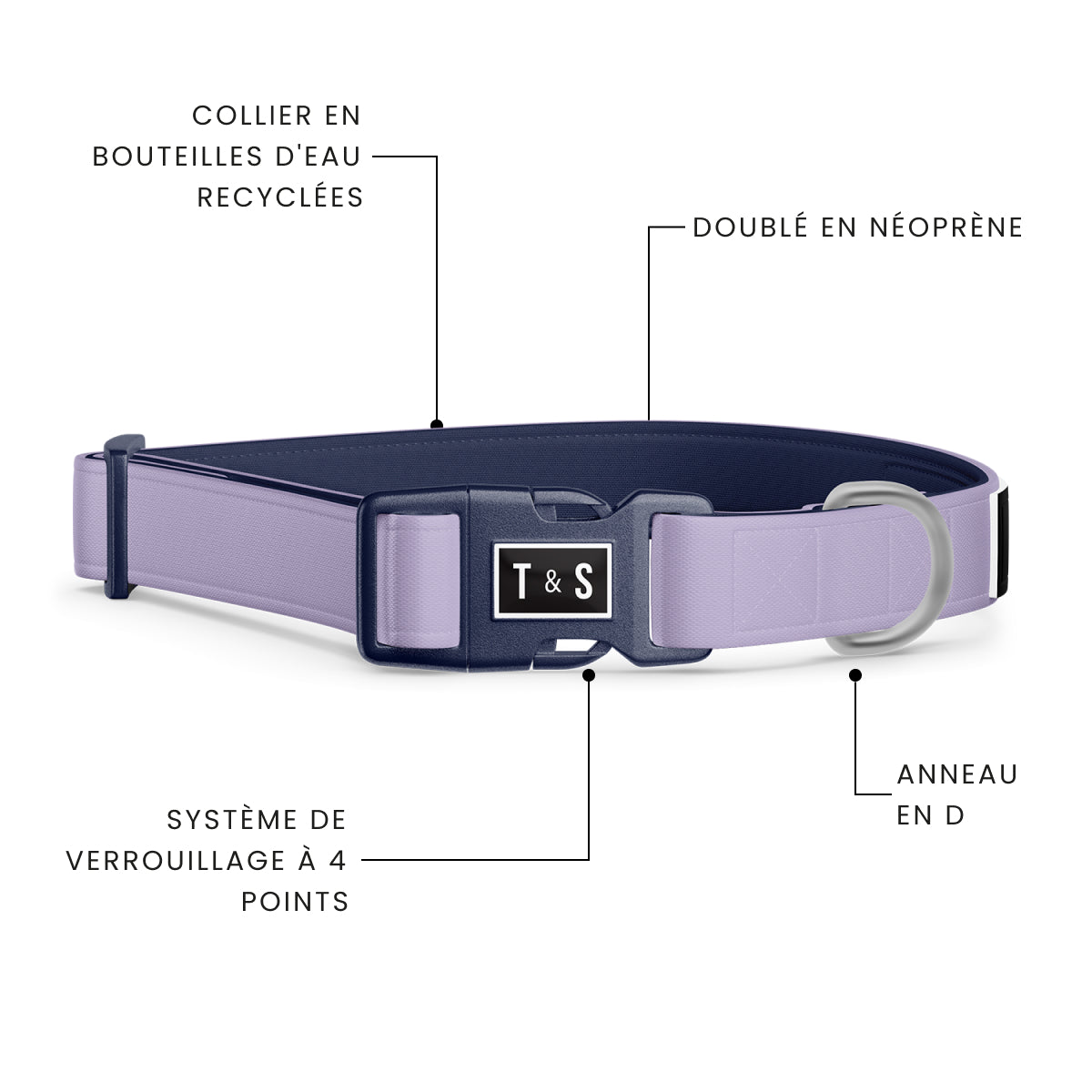 Lilac dog collar