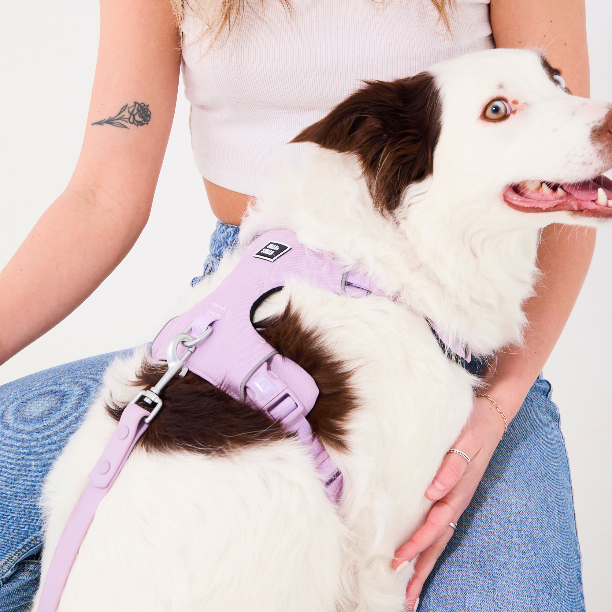 Lilac waterproof dog leash