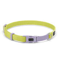 Lime cat collar