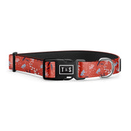 Livia dog collar