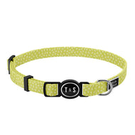 Collier pour chat Lucy