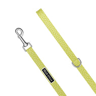 Laisse pour chien Lucy