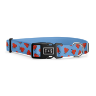Collier pour chien Heartbreaker