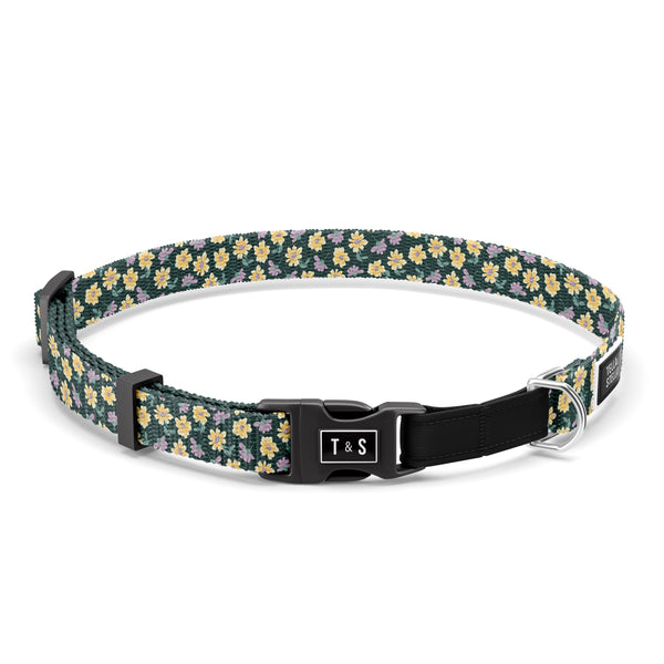 Margot Cat Collar (elastic)