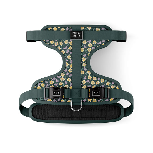 Light & flexible dog harness - Margot