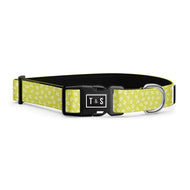 Collier pour chien Lucy