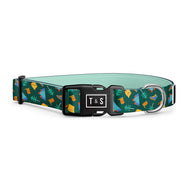 Banff dog collar