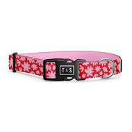 Collier pour chien Mila