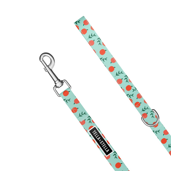 Laisse pour chien Pêche