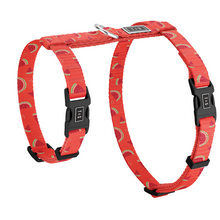 
                      
                        Charger l&#39;image dans la galerie, Harnais pour chat Pastèque Fraîche
                      
                    