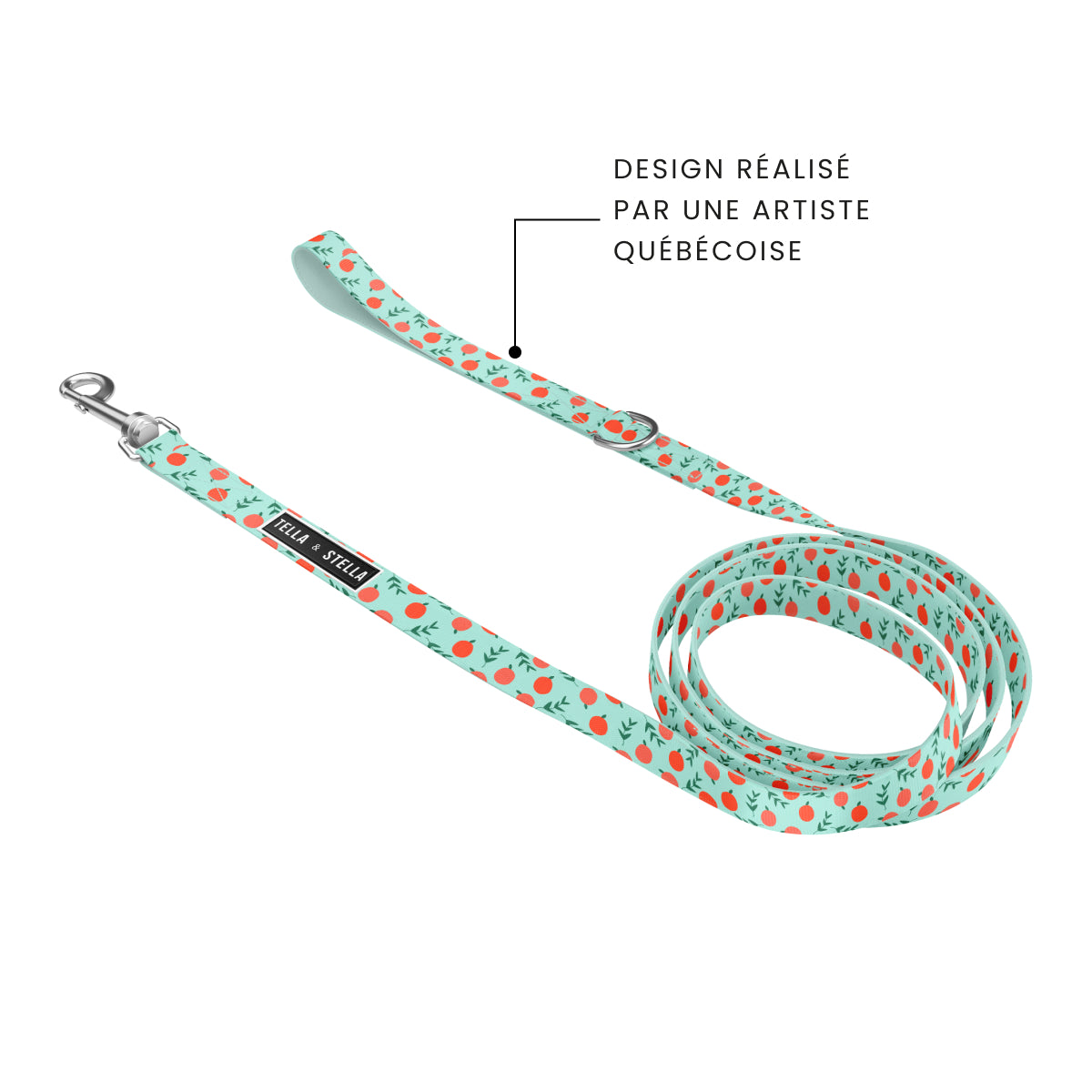 Peach Dog Leash