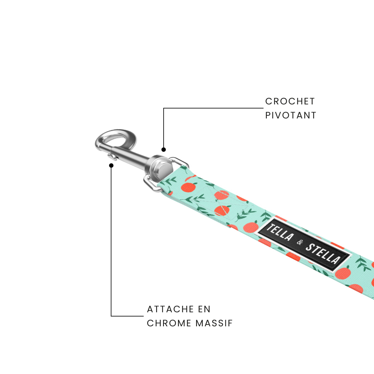 Peach Dog Leash