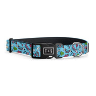 Collier pour chien PisHier