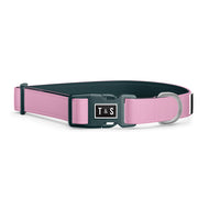 Pink dog collar