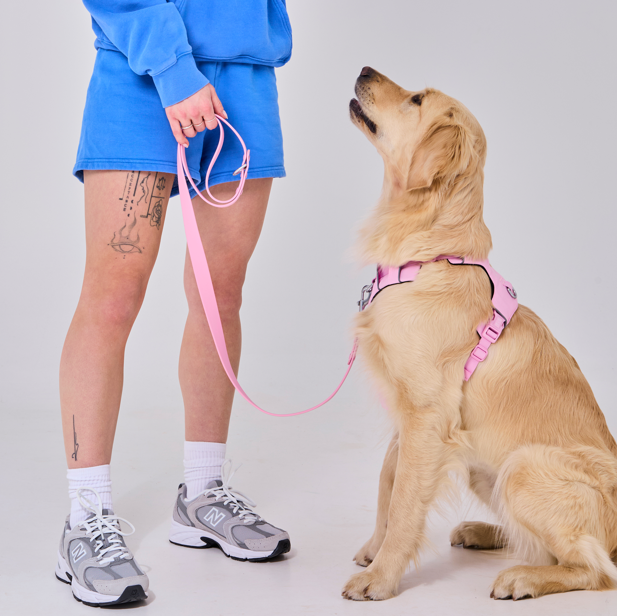 Duo collier et laisse imperméable pour chien Rose