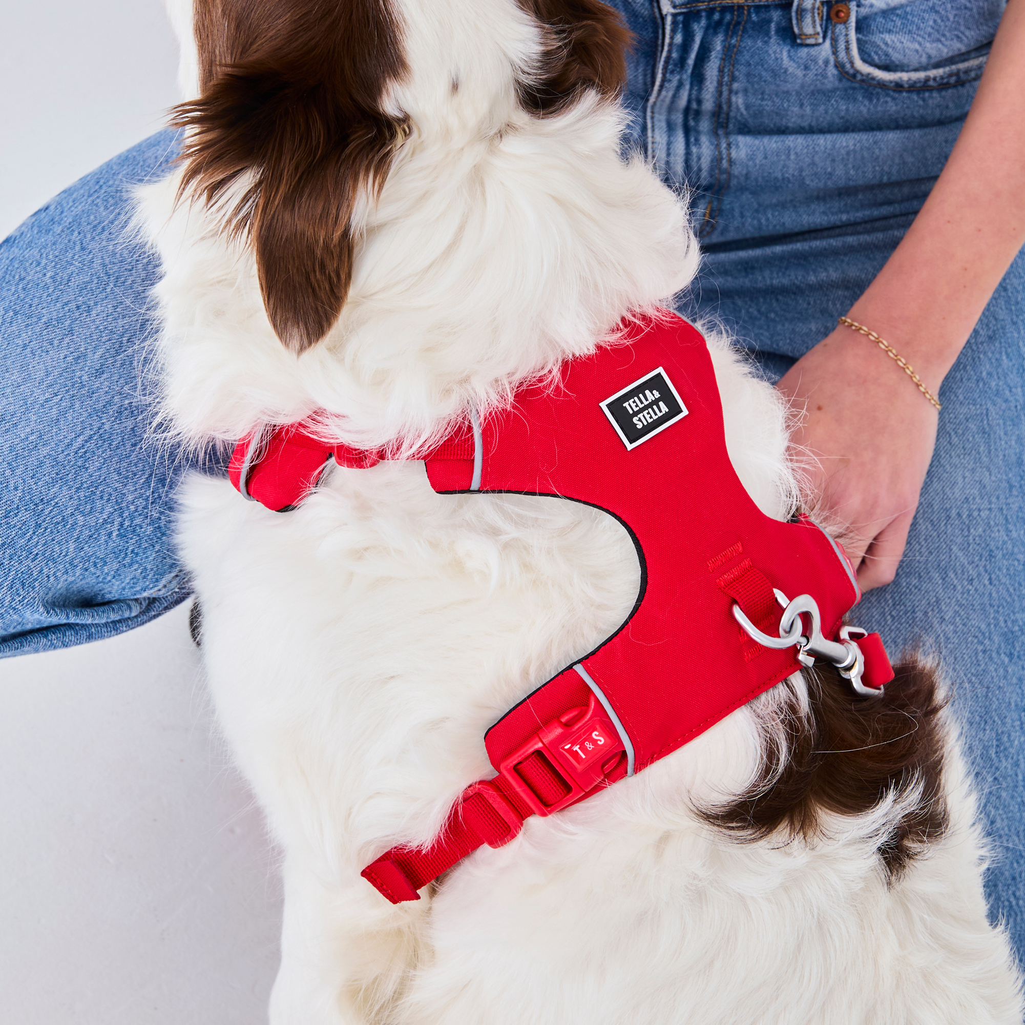 Harnais robuste pour chien Rouge