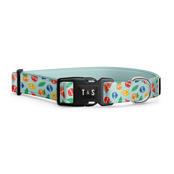 Collier pour chien Salade de fruits