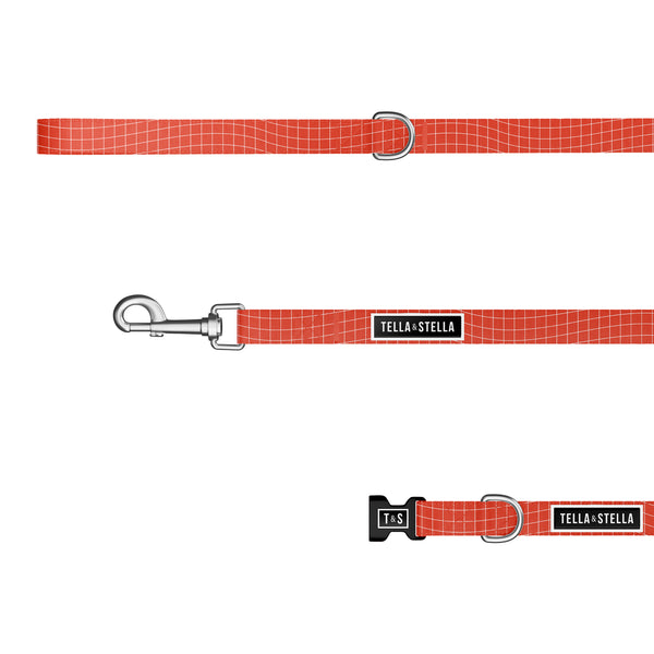 Duo collier et laisse pour chien Tango