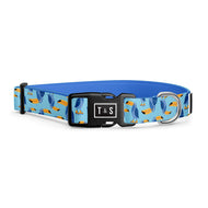 Collier pour chien Toco le toucan