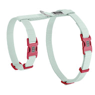 Aqua cat harness