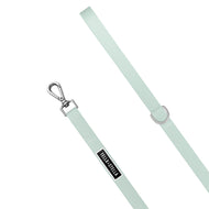 Aqua dog leash