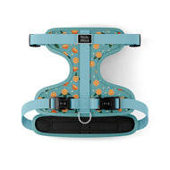 Harnais flexible & léger pour chien Oranger