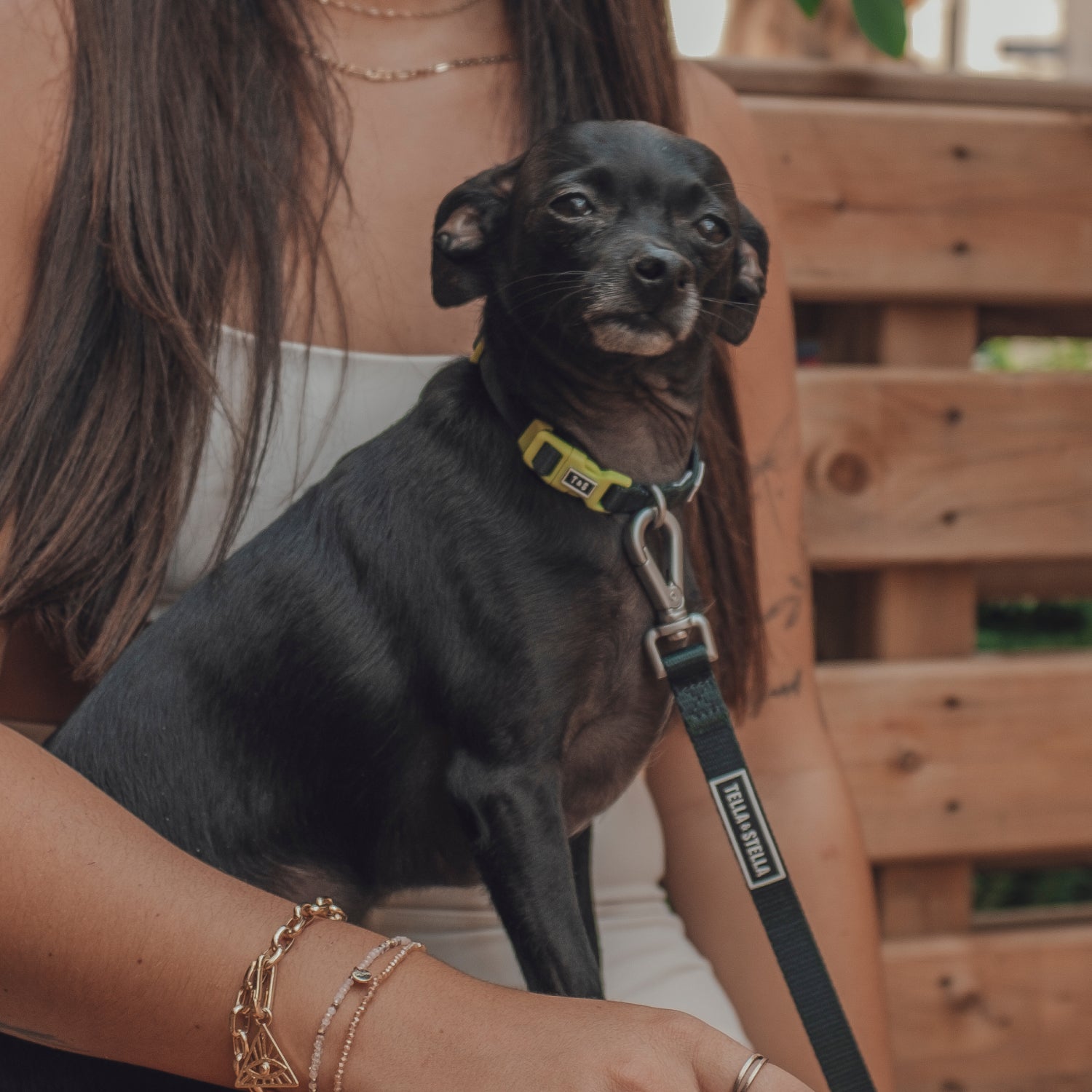 Forest green dog collar