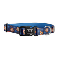 Collier pour chien Willy le grizzly
