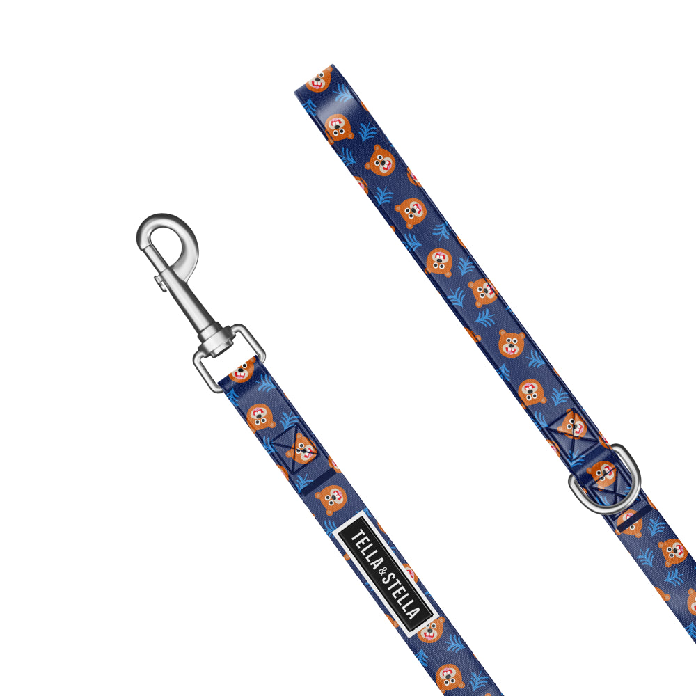 Willy the grizzly dog combo collar and leash