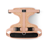 Adjustable dog harness Althea