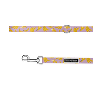 Laisse pour chat Banane