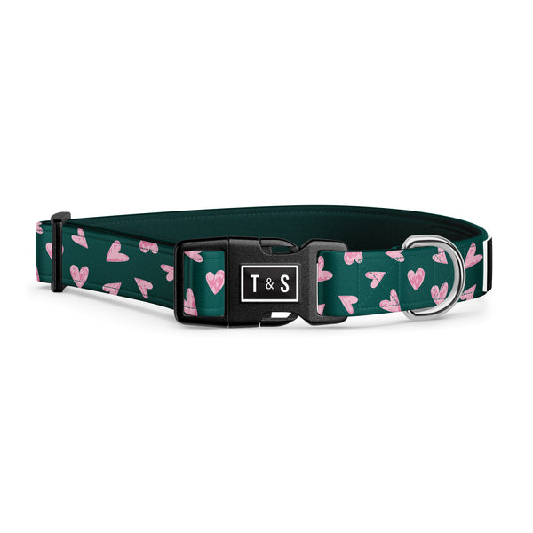 Collier pour chien Béatrice