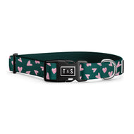 Collier pour chien Béatrice