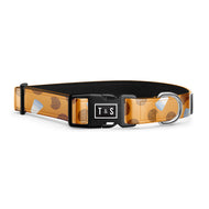 Collier pour chien Biscuit